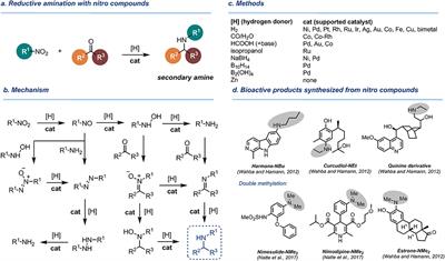 Catalytic Reductive Amination of Aldehydes and Ketones With Nitro Compounds: New Light on an Old Reaction